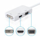 Convertisseur de Port d'affichage Mini  Thunderbolt vers HDMI/VGA/DVI 